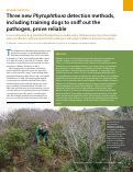 Cover page: Three new <em>Phytophthora</em> detection methods, including training dogs to sniff out the pathogen, prove reliable