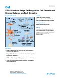 Cover page: CD81 Controls Beige Fat Progenitor Cell Growth and Energy Balance via FAK Signaling