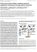 Cover page: Polycomb protein SCML2 mediates paternal epigenetic inheritance through sperm chromatin