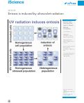Cover page: Entosis is induced by ultraviolet radiation
