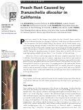 Cover page: Peach Rust Caused by Tranzschelia discolor in California