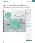 Cover page: Initial B Cell Activation Induces Metabolic Reprogramming and Mitochondrial Remodeling