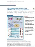 Cover page: Pathogenic Role of mTORC1 and mTORC2 in Pulmonary Hypertension