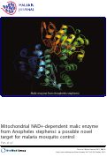 Cover page: Mitochondrial NAD+-dependent malic enzyme from Anopheles stephensi: a possible novel target for malaria mosquito control