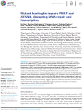 Cover page: Mutant huntingtin impairs PNKP and ATXN3, disrupting DNA repair and transcription