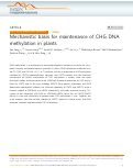 Cover page: Mechanistic basis for maintenance of CHG DNA methylation in plants
