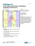 Cover page: In&nbsp;Vivo Single-Cell Detection of Metabolic Oscillations in Stem Cells