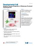Cover page: Adaptive Immune Regulation of Mammary Postnatal Organogenesis