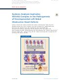 Cover page: Systems Analysis Implicates WAVE2&nbsp;Complex in the Pathogenesis of&nbsp;Developmental Left-Sided Obstructive&nbsp;Heart Defects