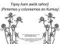 Cover page: Tipey Aam Awilk Tañorj! ('¡Pintemos y coloreemos en Kumiay!')