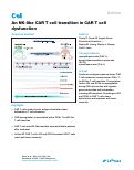 Cover page: An NK-like CAR T&nbsp;cell transition in CAR T&nbsp;cell dysfunction