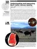 Cover page: Understanding and Improving Beef Cattle Carcass Quality