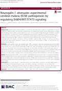 Cover page: Neuregulin-1 attenuates experimental cerebral malaria (ECM) pathogenesis by regulating ErbB4/AKT/STAT3 signaling