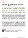 Cover page: Guidelines for DNA recombination and repair studies: Cellular assays of DNA repair pathways
