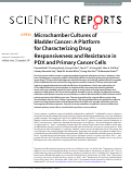 Cover page: Microchamber Cultures of Bladder Cancer: A Platform for Characterizing Drug Responsiveness and Resistance in PDX and Primary Cancer Cells
