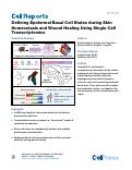 Cover page: Defining Epidermal Basal Cell States during Skin Homeostasis and Wound Healing Using Single-Cell Transcriptomics