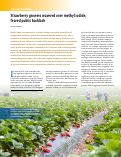 Cover page: Strawberry growers wavered over methyl iodide, feared public backlash