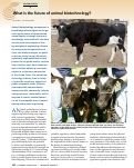 Cover page: What is the future of animal biotechnology?