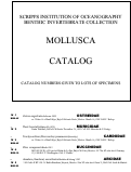Cover page: Catalog of the Benthic Invertebrate Collections of the Scripps Institution of Oceanography. Mollusca