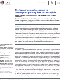 Cover page: The transcriptional response to tumorigenic polarity loss in Drosophila