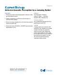 Cover page: Airborne Acoustic Perception by a Jumping Spider