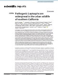 Cover page: Pathogenic Leptospira are widespread in the urban wildlife of southern California.
