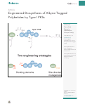 Cover page: Engineered Biosynthesis of Alkyne-Tagged Polyketides by Type I PKSs