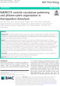 Cover page: BdERECTA controls vasculature patterning and phloem-xylem organization in Brachypodium distachyon