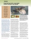 Cover page: Imported parasitic wasp helps control red gum lerp psyllid