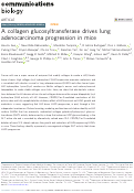 Cover page: A collagen glucosyltransferase drives lung adenocarcinoma progression in mice.