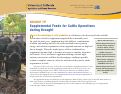 Cover page: Drought Tip: Supplemental Feeds for Cattle Operations during Drought
