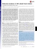 Cover page: Molecular mechanics of 30S subunit head rotation