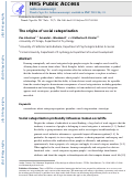 Cover page: The Origins of Social Categorization