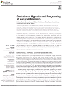 Cover page: Gestational Hypoxia and Programing of Lung Metabolism