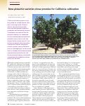 Cover page: New pistachio varieties show promise for California cultivation