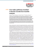 Cover page: Iron redox pathway revealed in ferritin via electron transfer analysis