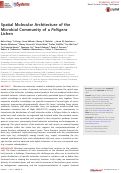 Cover page: Spatial Molecular Architecture of the Microbial Community of a Peltigera Lichen