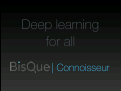 Cover page: Deep learning for all: &nbsp;managing and analyzing underwater and remote sensing imagery on the web using BisQue
