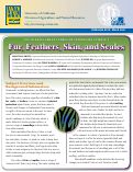 Cover page: Youth Development through Veterinary Science, 2: Fur, Feathers, Skin and Scales