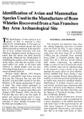 Cover page: Identification of Avian and Mammalian Species Used in the Manufacture of Bone Whistles Recovered from a San Francisco Bay Area Archaeological Site