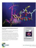 Cover page: A bio-inspired approach to ligand design: folding single-chain peptoids to chelate a multimetallic cluster