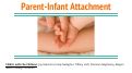 Cover page: Parent-Infant Attachment: Chillin’ with the Chilluns
