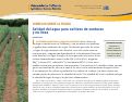 Cover page: Consejos sobre la sequía: Calidad del agua para cultivos de verduras y en línea