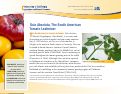 Cover page: Tuta Absoluta The South American Tomato Leafminer