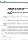Cover page: Two Kinesin-14A Motors Oligomerize to Drive Poleward Microtubule Convergence for Acentrosomal Spindle Morphogenesis in Arabidopsis thaliana