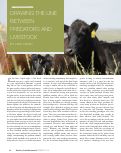 Cover page: DRAWING THE LINE BETWEEN PREDATORS AND LIVESTOCK