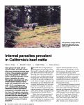 Cover page: Internal parasites prevalent in California's beef cattle