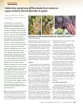 Cover page: Distinctive symptoms differentiate four common types of berry shrivel disorder in grape