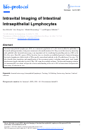 Cover page: Intravital Imaging of Intestinal Intraepithelial Lymphocytes.