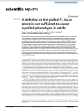 Cover page: A deletion at the polled P<sub>C</sub> locus alone is not sufficient to cause a polled phenotype in cattle.